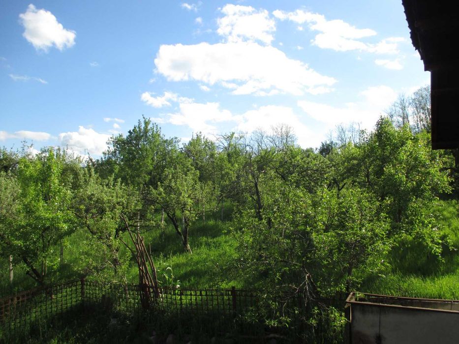 Gospodărie autentică  in Berevoești (sat.Ungureni) Câmpulung!