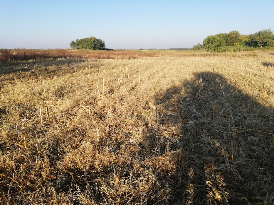 Teren extravilan (agricol Arabil)