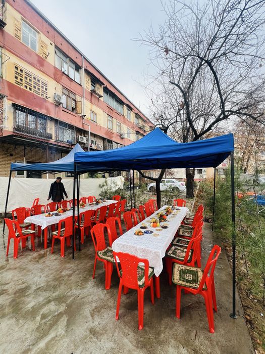 stol stul arenda yelim plasmas