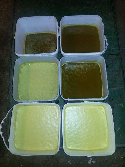 Мед и пчелни продукти реколта 2025г. От производител.На едро  отстъпка