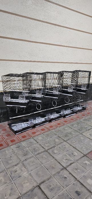 Клетка стандарт black edition