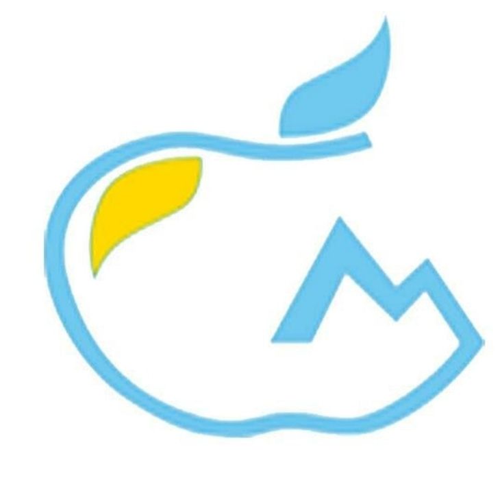 Профессиональный медиатор