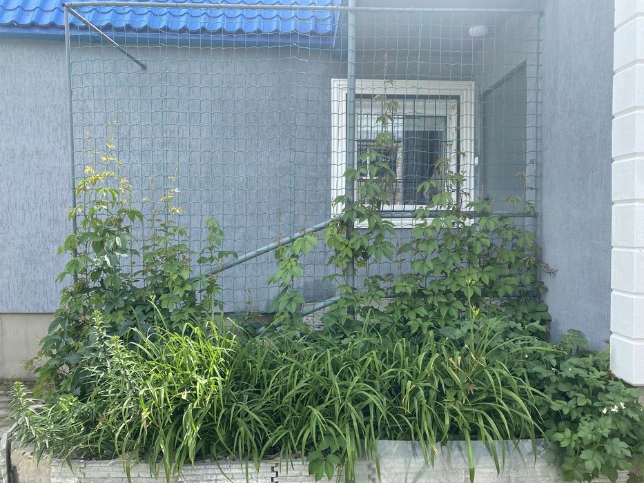 Коттедж аренда посуточно