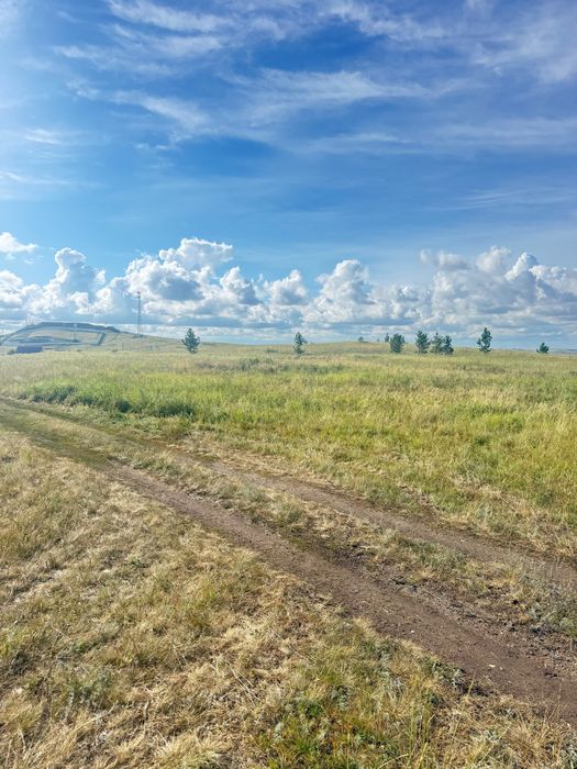 п. Зеленый бор.  1 Звездная