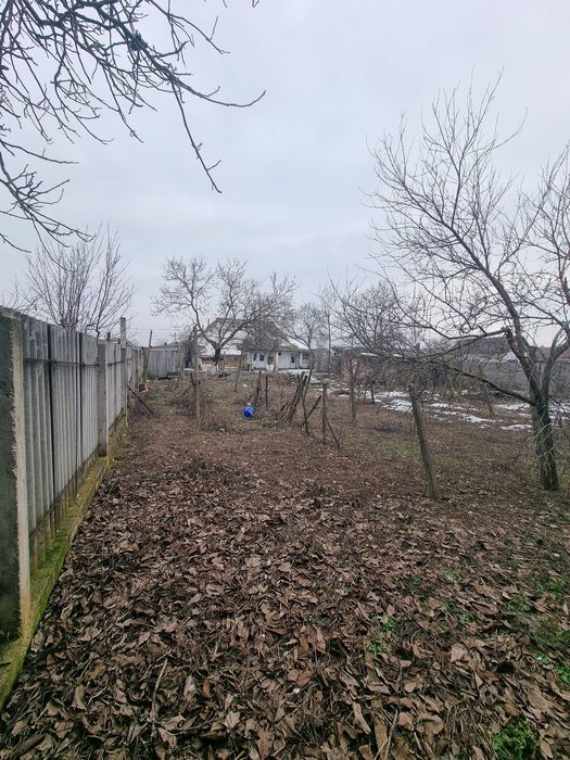 Vând casă Sagu 1440 mp teren