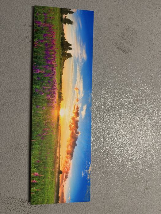 Tablouri moderne canvas decor pe panza