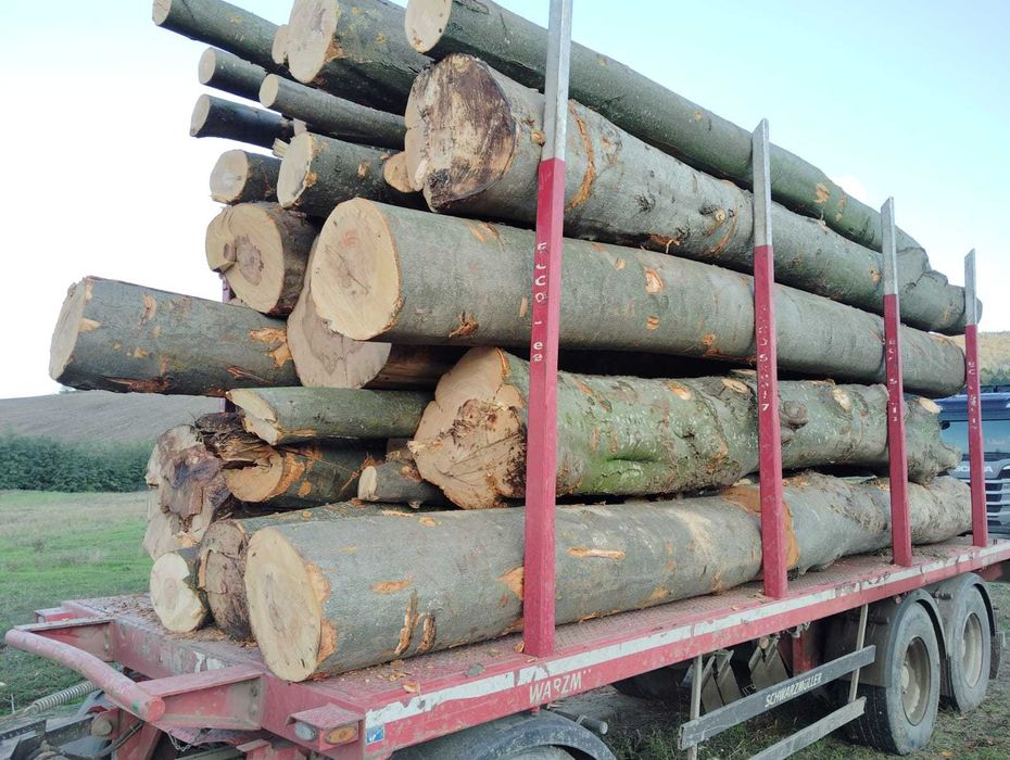 Lemn foc cantitati mari