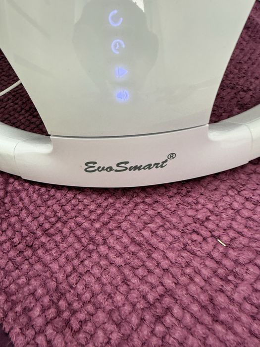 Vand balansoar bebe evosmart