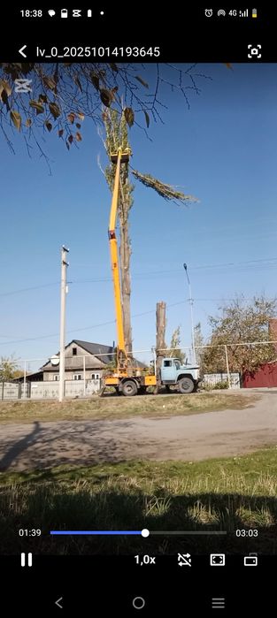 Услуги автовышки ВС 22 Кобра