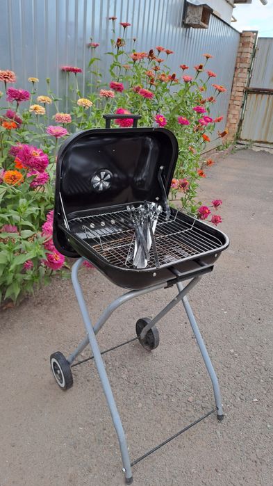 Гриль угольный с шампурами и стартером.