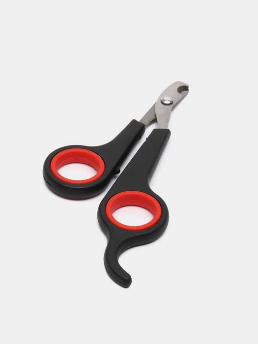 Ira uni ogziga oladi va qattiq mushuk becerdin oladi