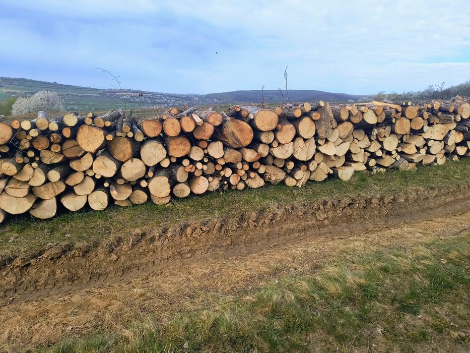 Vand lemne de foc carpen cu stejar transport acasa