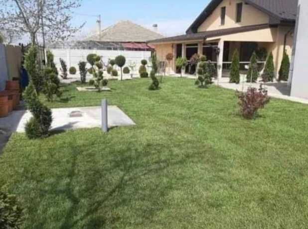 Gazon Rulou, Sisteme de irigare Plante Ornamentale