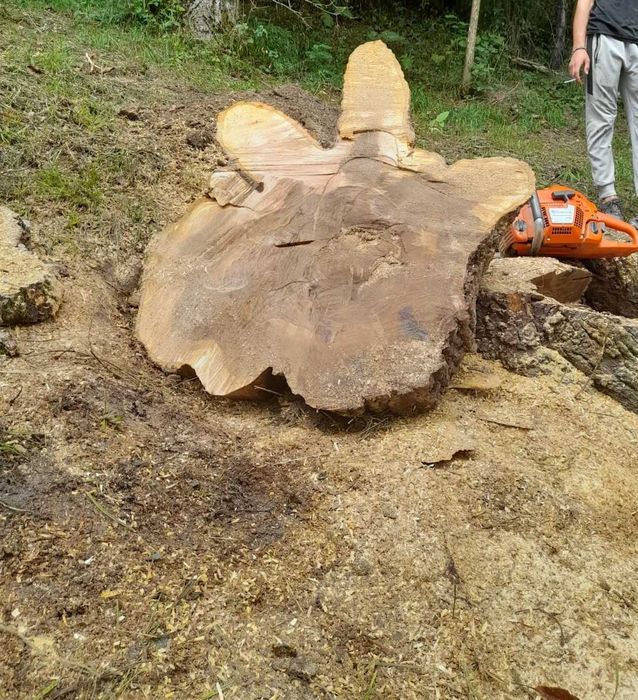 Mobilier lemn din rondele. Esențe tari: nuc stejar carpen
