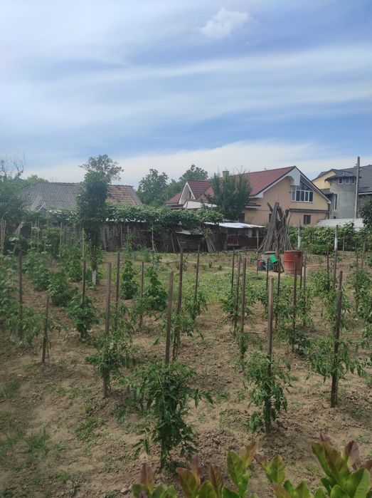 Casa + teren Gheraiesti