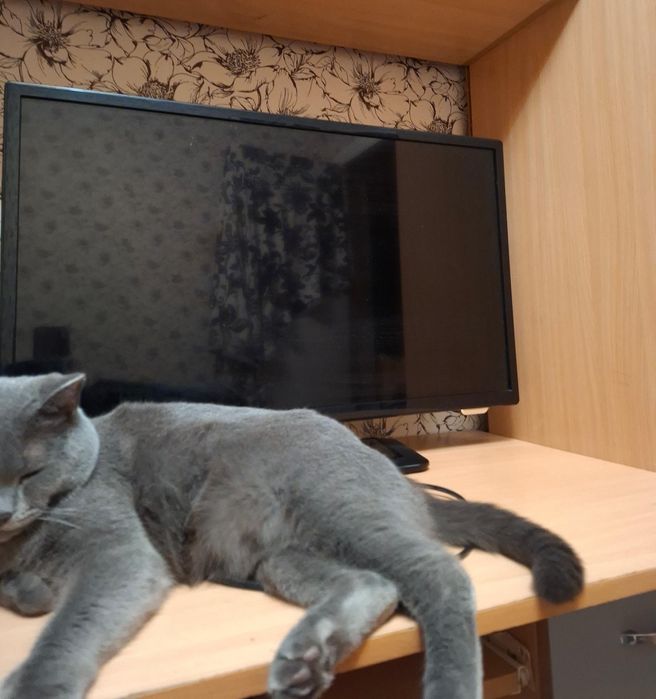 Продам телевизор срочно