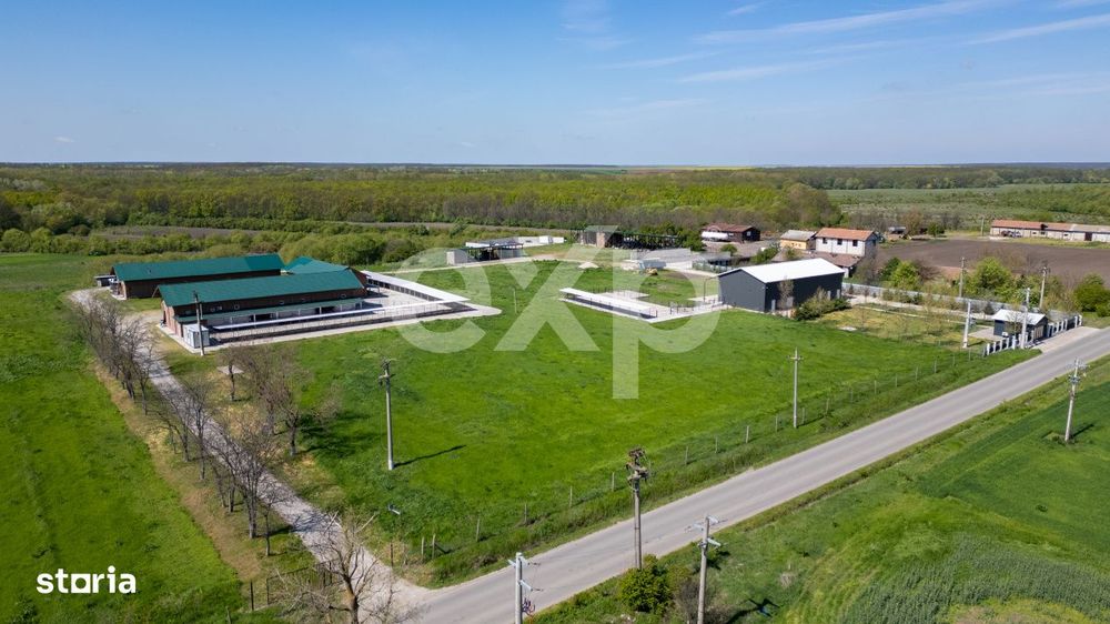 Black Angus Farm with authorized Slaughterhouse