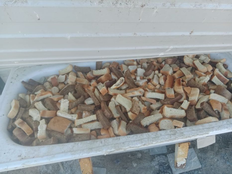 Қатқан нан бар малға .