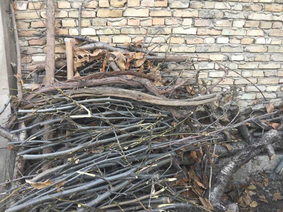 дрова из фруктовых деревьев-черешня,вишня,слива,орех  в объеме 2 куба
