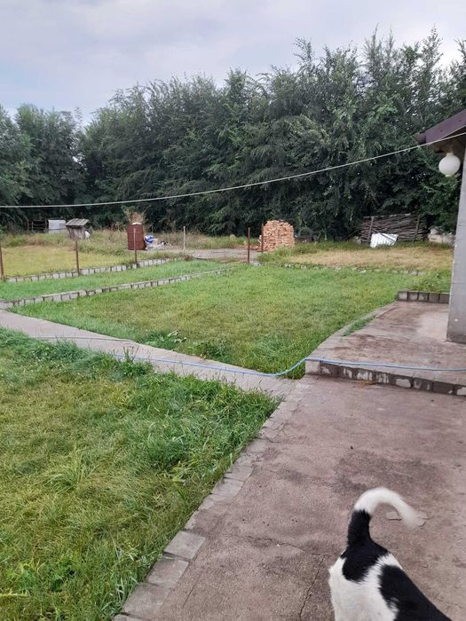 Vand casa la Tara
