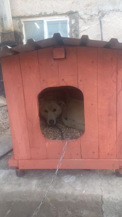 Продаю будку для собаки