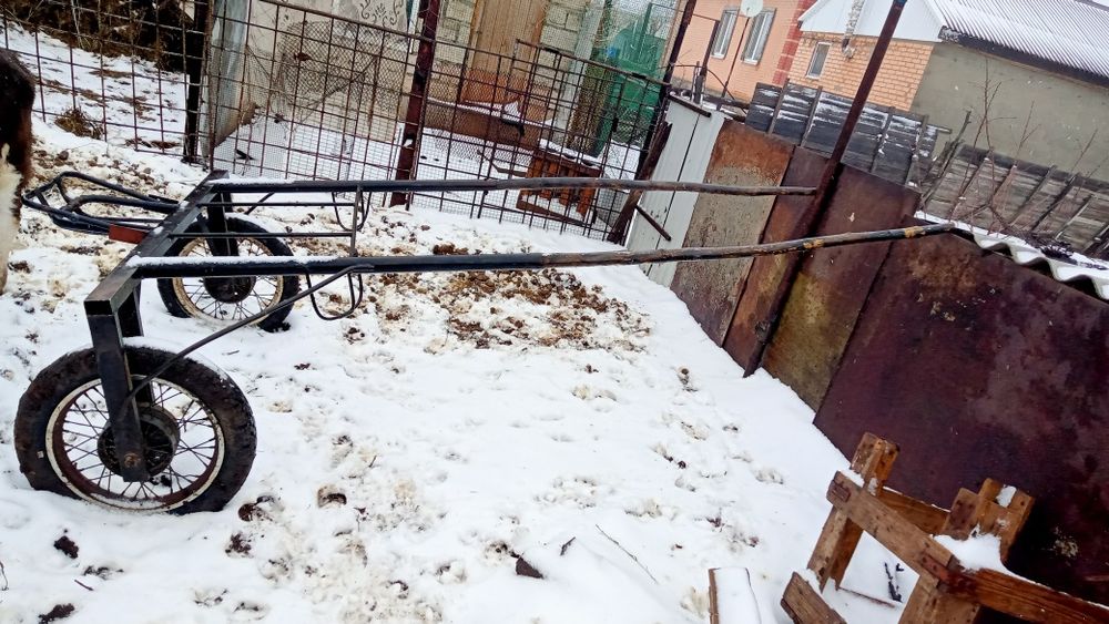 Продаю качалку для лошадей