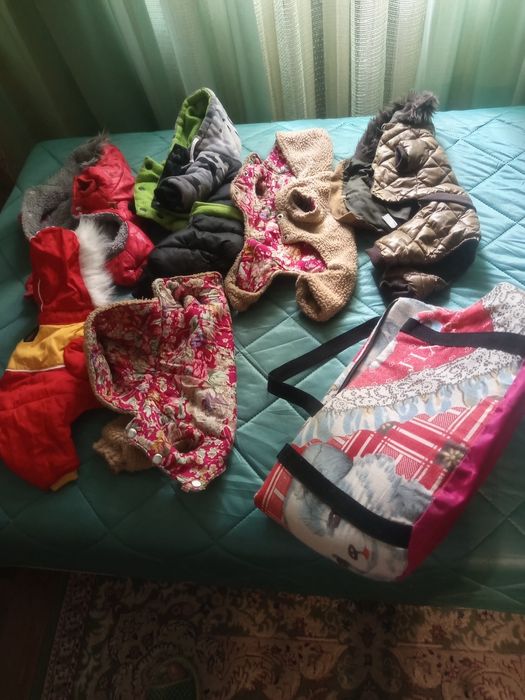 Одежда и все аксессуары для маленькой собачки!