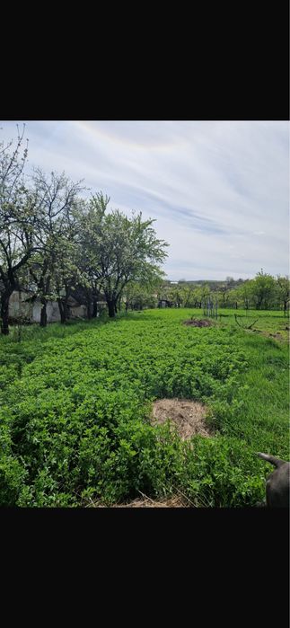 Vand casa batraneasca in localitatea Burlesti jud.Botosani