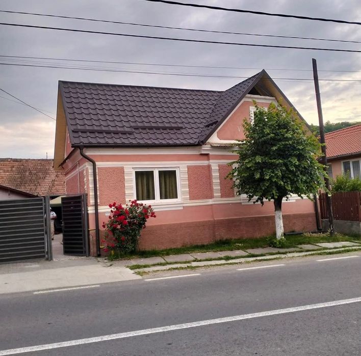 Acoperisuri reparatii