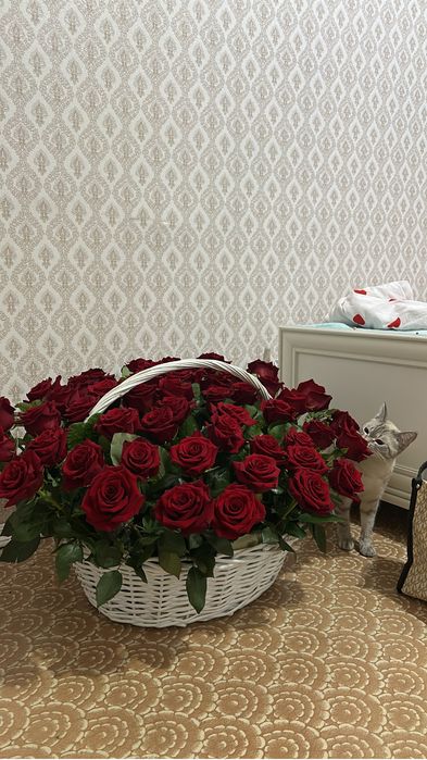 Корзина из 51 розы