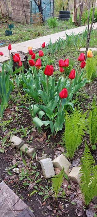 Продам дачу 7.5 соток район телецентра