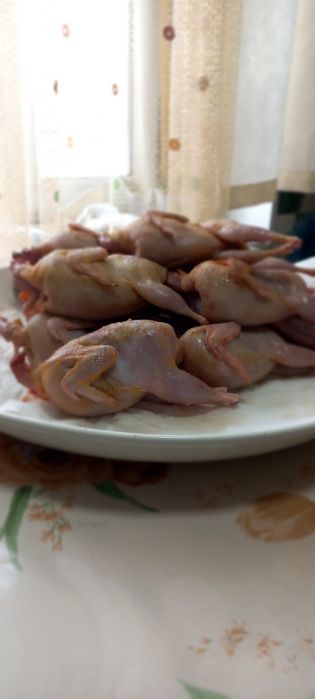 Бодене еті  сатылады