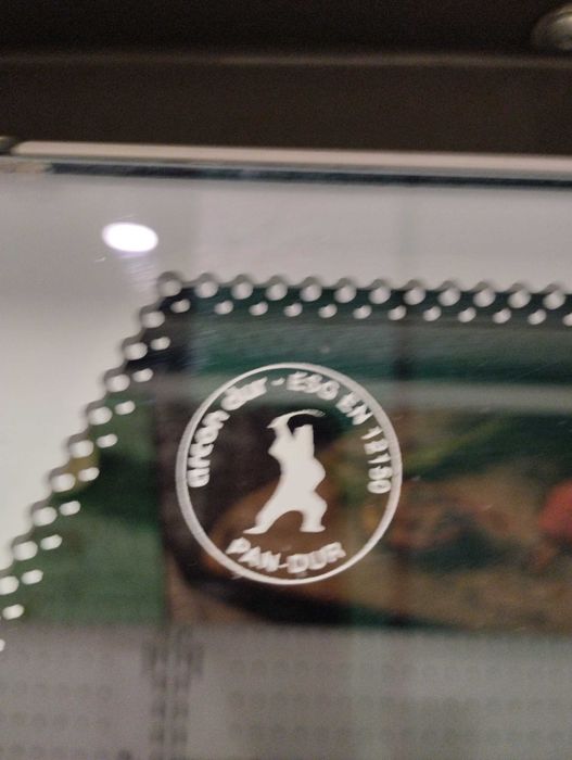 Изложбена витрина