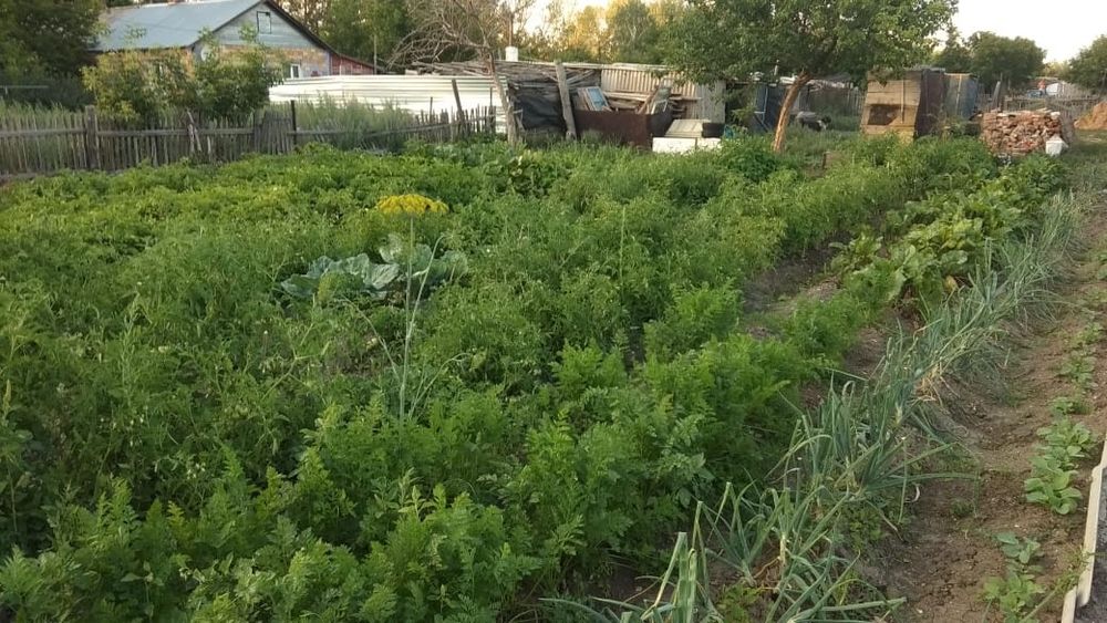 Продам дом пос.Коксун