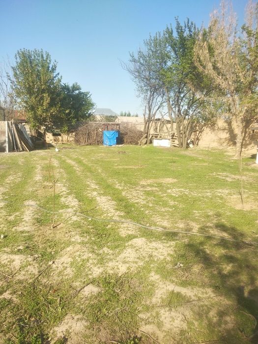 Тулабе, ок томда 13 сотих уй сотилади