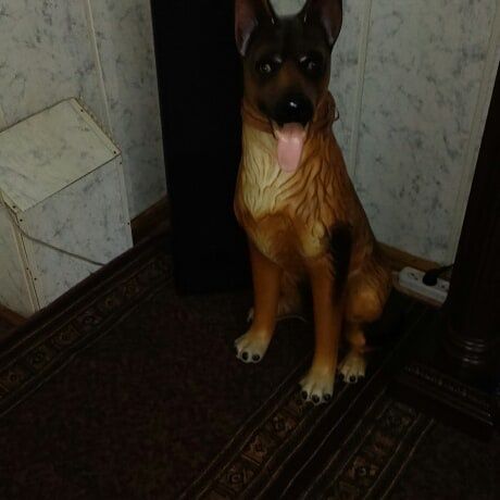 Собаки декор  для дома