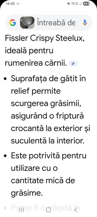 Tigaie FISSLER 30 cm.