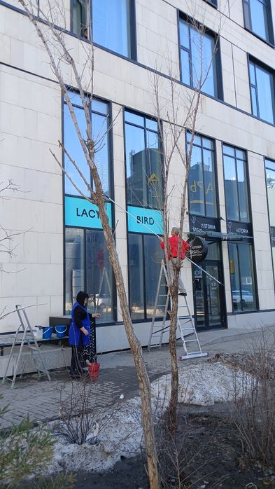 Мойка окон ,мытье витражей и фасадов.