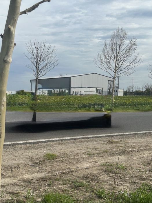 Teren extravilan Alexandria de Închiriat