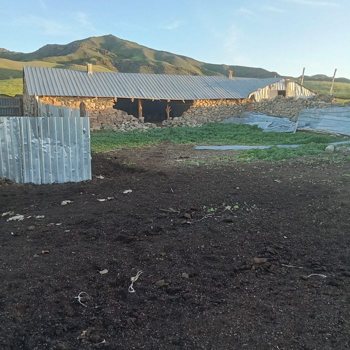 Крестьянской хозяиство