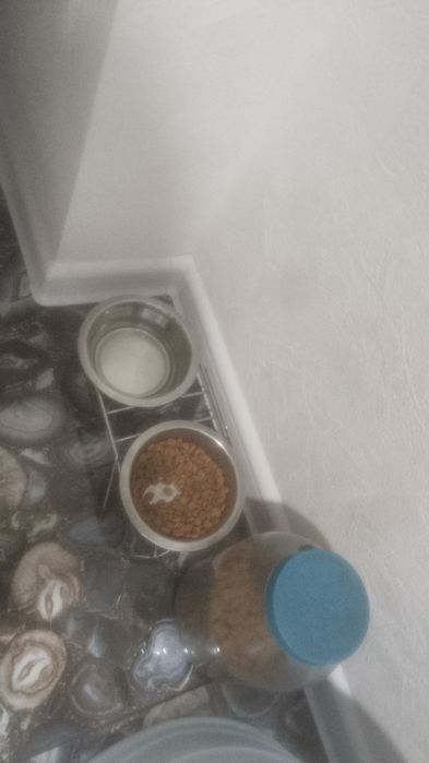Отдам в добрые руки