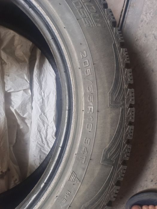 Донгелек зимны шыповынный