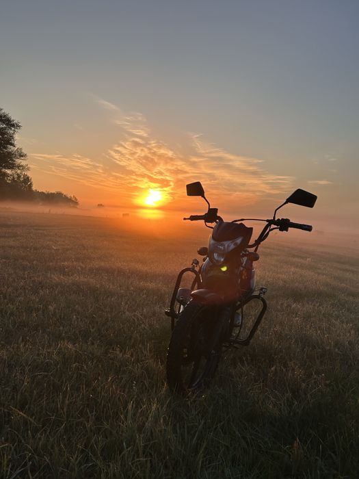 В продаже Alpha Sport Pro 125