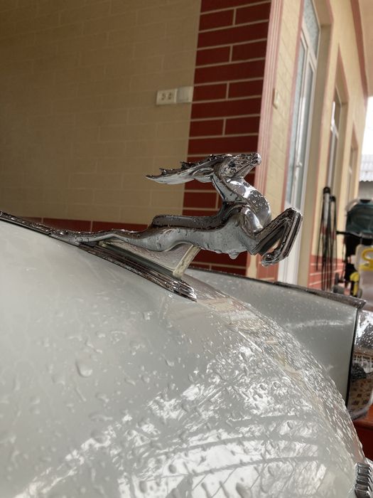 volga 21 sotiladi srochna