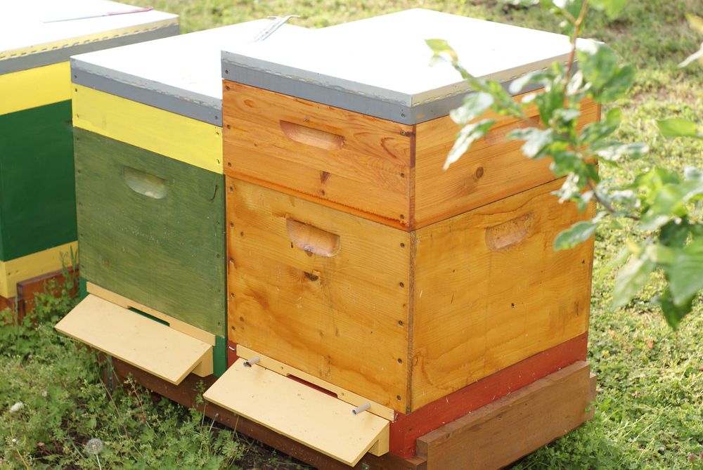 Пчелни кошери ДБ-10ка за подвижно пчеларство и добив на клей и прашец.
