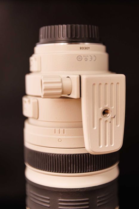 Canon EF 100-400mm f/4.5-5.6 L IS USM