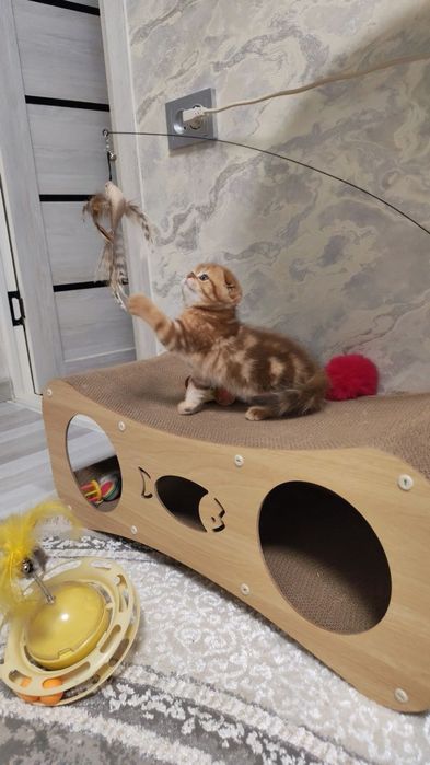 Шикарные малыши от правильной вязки