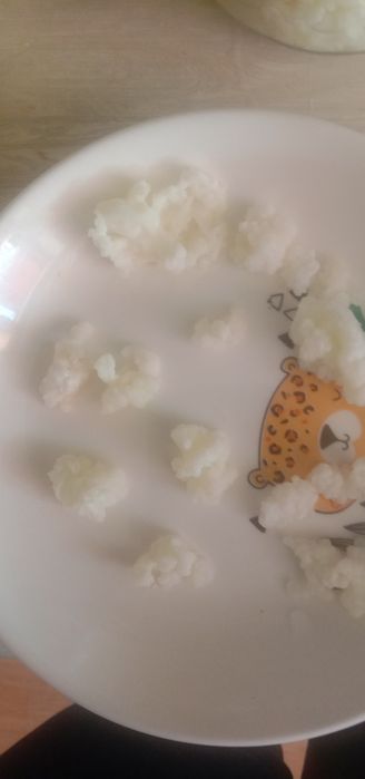 Тибетский молочный гриб