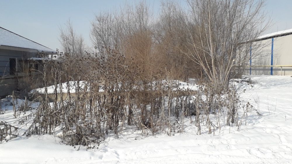 Срочно продам участок