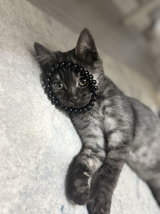 В любящие руки девочка